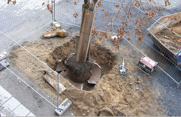 Standortverbesserung Bodenaustausch Baumdüngung Baumsubstrat Stammschutz